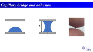 Lecture 3_forces and capillary bridge.pdf