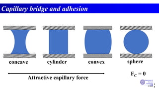 Lecture 3_forces and capillary bridge.pdf