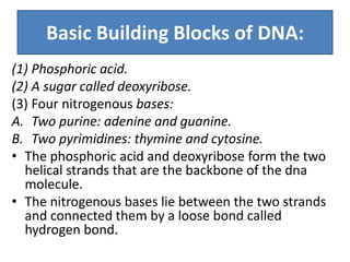 lecture3geneticcontrolcellreproduction-180702011658.pdf