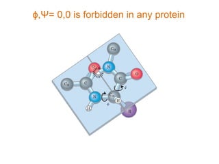 ɸ,Ψ= 0,0 is forbidden in any protein
 
