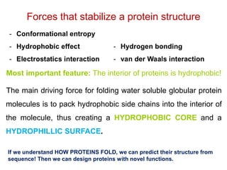 Most important feature: The interior of proteins is hydrophobic!
The main driving force for folding water soluble globular protein
molecules is to pack hydrophobic side chains into the interior of
the molecule, thus creating a HYDROPHOBIC CORE and a
HYDROPHILLIC SURFACE.
Forces that stabilize a protein structure
If we understand HOW PROTEINS FOLD, we can predict their structure from
sequence! Then we can design proteins with novel functions.
 