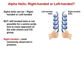 Alpha helix can be – Right-
handed or Left handed
BUT, left handed helix is not
possible for L-amino acids
due to close approach of
the side chains and CO
group.
Right handed – most
commonly observed in
proteins.
Alpha Helix: Right-handed or Left-handed?
 