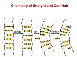 Chemistry of Straight and Curl Hair
 
