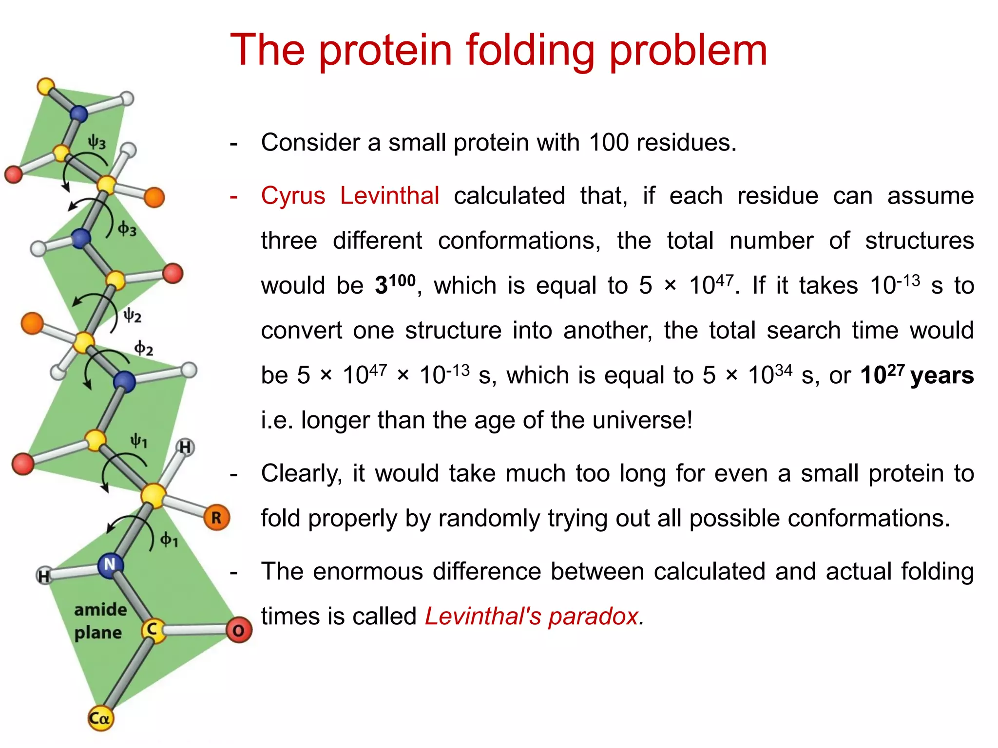 The protein folding problem
- Consider a small protein with 100 residues.
- Cyrus Levinthal calculated that, if each residue can assume
three different conformations, the total number of structures
would be 3100, which is equal to 5 × 1047. If it takes 10-13 s to
convert one structure into another, the total search time would
be 5 × 1047 × 10-13 s, which is equal to 5 × 1034 s, or 1027 years
i.e. longer than the age of the universe!
- Clearly, it would take much too long for even a small protein to
fold properly by randomly trying out all possible conformations.
- The enormous difference between calculated and actual folding
times is called Levinthal's paradox.
 