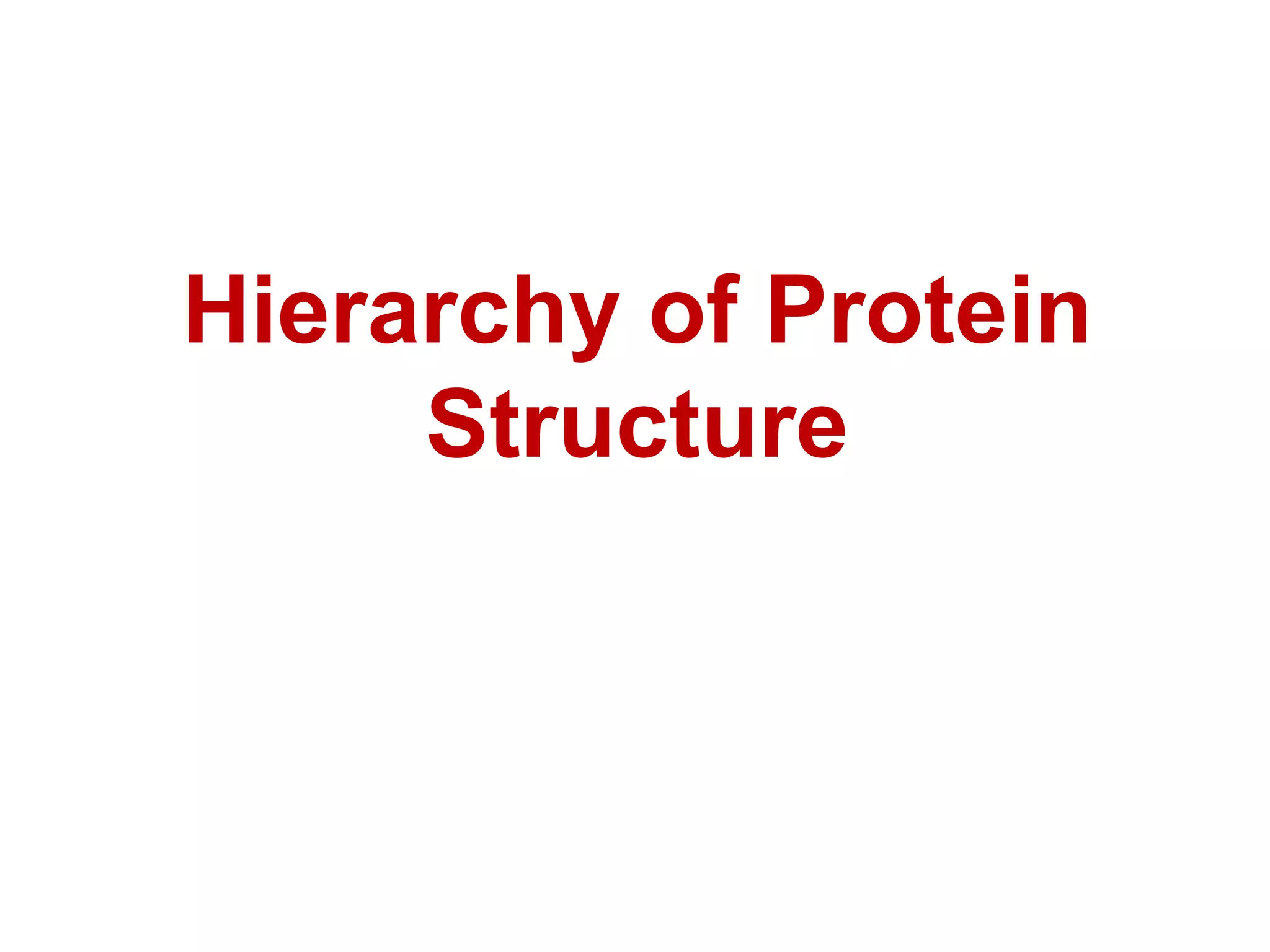 Hierarchy of Protein
Structure
 