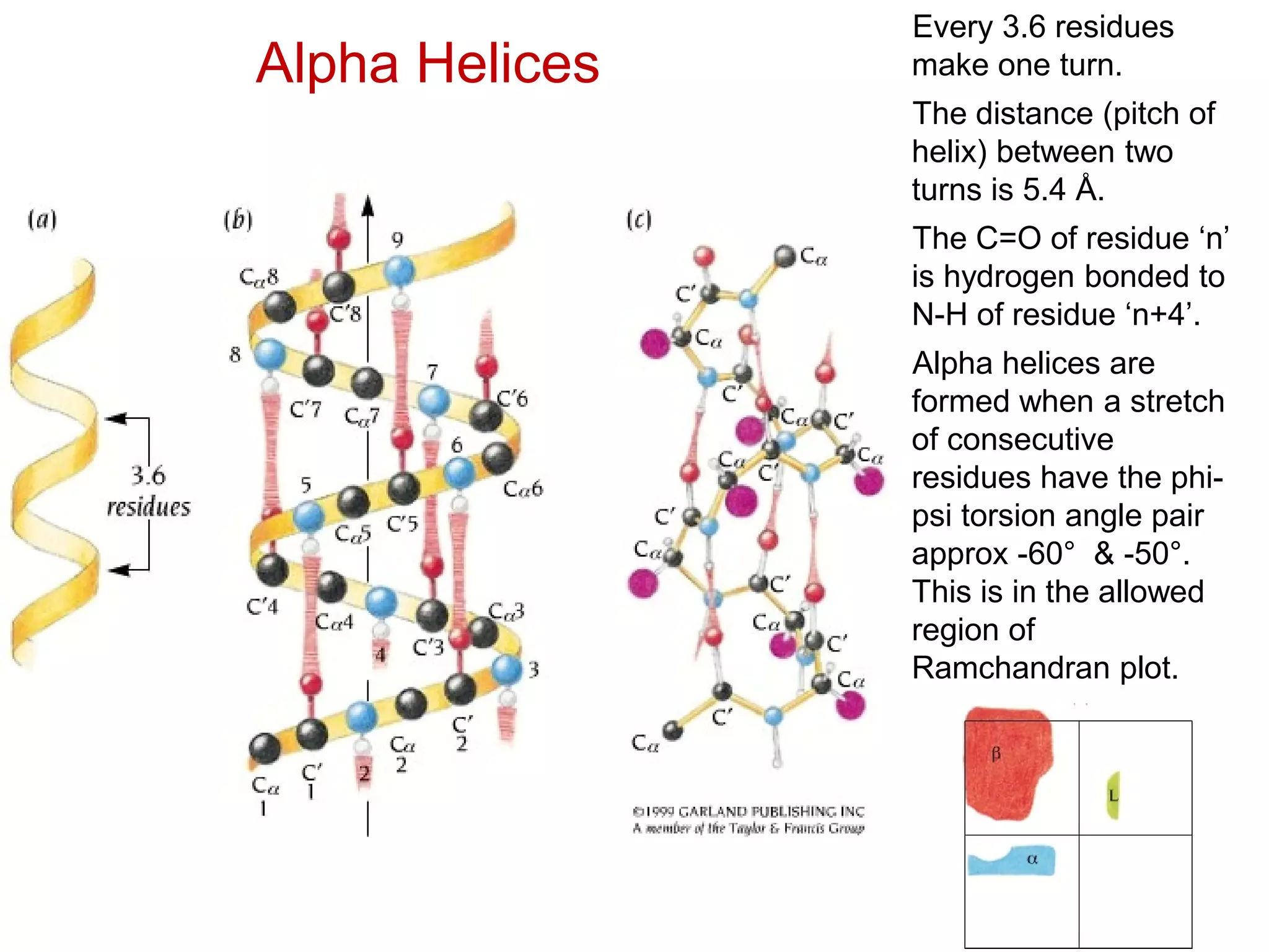 Alpha Helices
Every 3.6 residues
make one turn.
The distance (pitch of
helix) between two
turns is 5.4 Å.
The C=O of residue ‘n’
is hydrogen bonded to
N-H of residue ‘n+4’.
Alpha helices are
formed when a stretch
of consecutive
residues have the phi-
psi torsion angle pair
approx -60° & -50°.
This is in the allowed
region of
Ramchandran plot.
 
