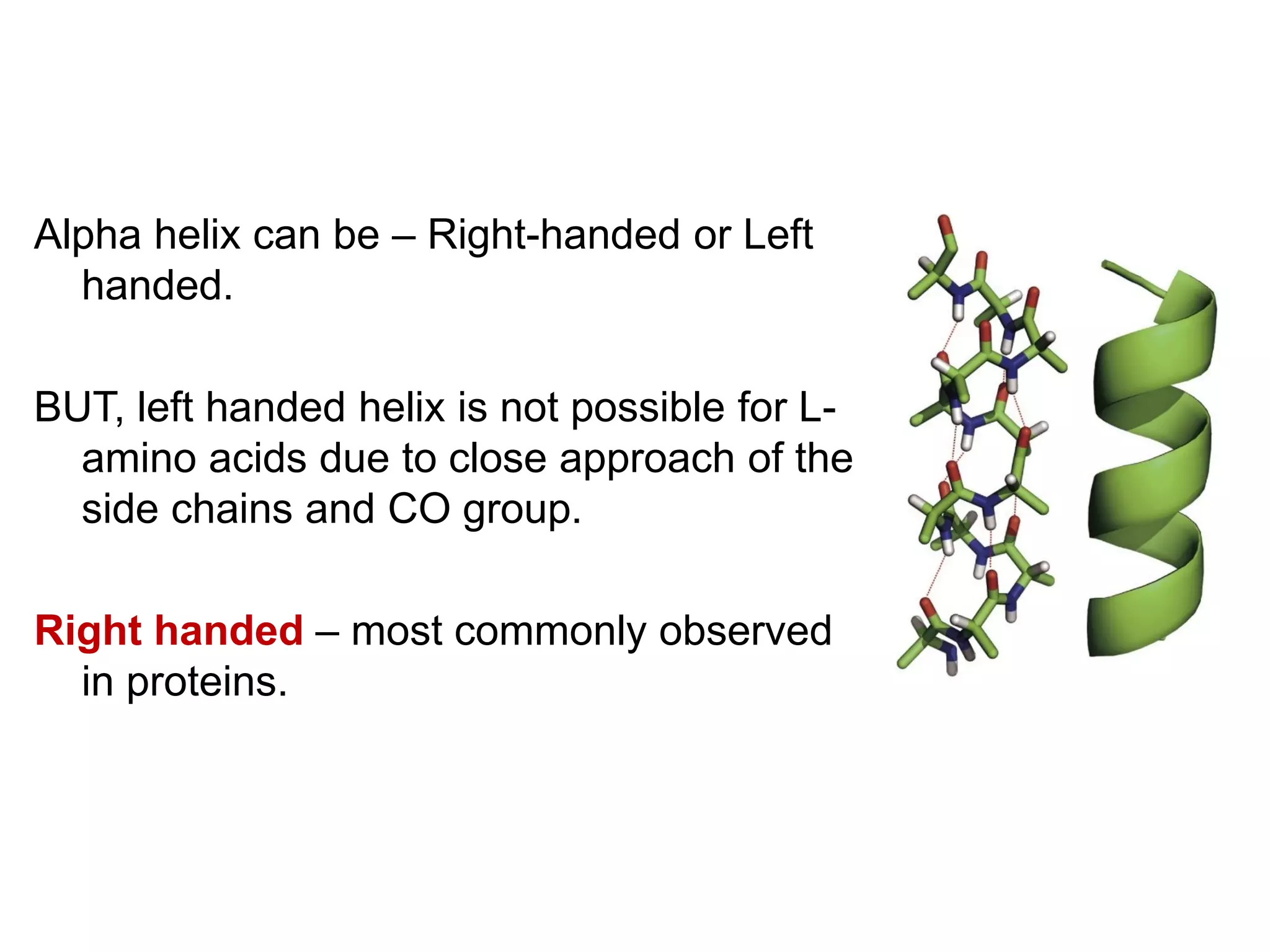 Alpha helix can be – Right-handed or Left
handed.
BUT, left handed helix is not possible for L-
amino acids due to close approach of the
side chains and CO group.
Right handed – most commonly observed
in proteins.
 