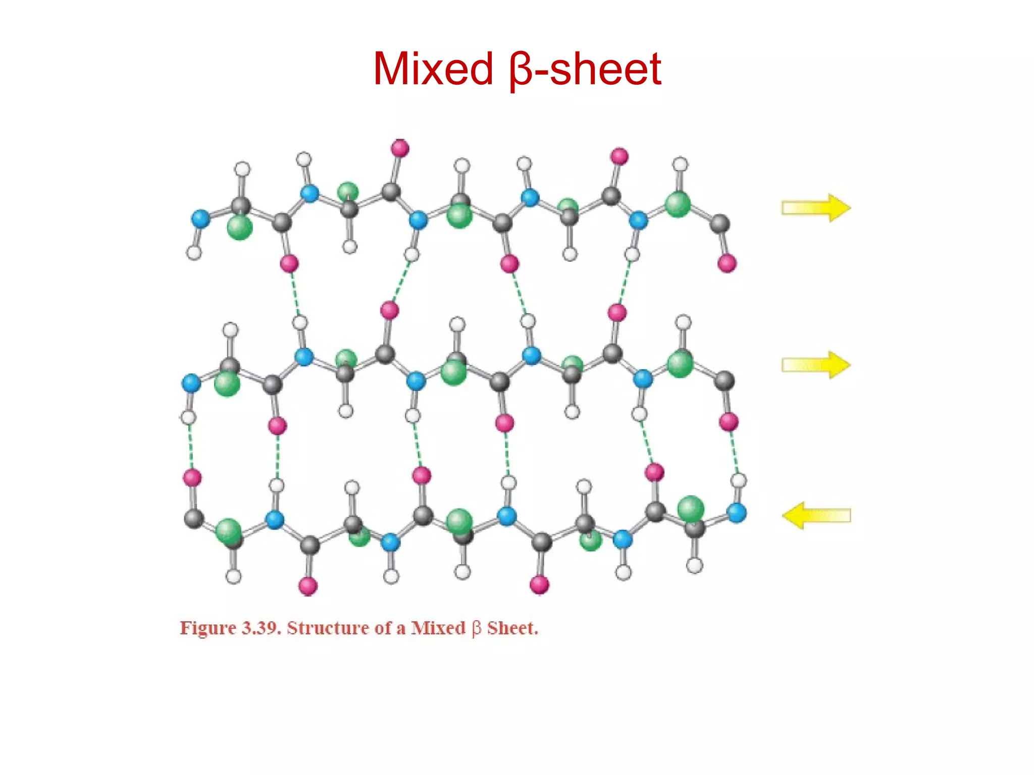 Mixed β-sheet
 