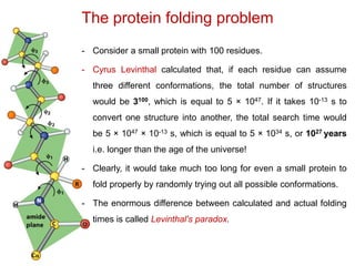 The protein folding problem
- Consider a small protein with 100 residues.
- Cyrus Levinthal calculated that, if each residue can assume
three different conformations, the total number of structures
would be 3100, which is equal to 5 × 1047. If it takes 10-13 s to
convert one structure into another, the total search time would
be 5 × 1047 × 10-13 s, which is equal to 5 × 1034 s, or 1027 years
i.e. longer than the age of the universe!
- Clearly, it would take much too long for even a small protein to
fold properly by randomly trying out all possible conformations.
- The enormous difference between calculated and actual folding
times is called Levinthal's paradox.
 
