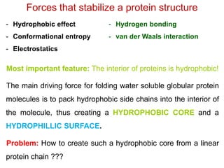 Most important feature: The interior of proteins is hydrophobic!
The main driving force for folding water soluble globular protein
molecules is to pack hydrophobic side chains into the interior of
the molecule, thus creating a HYDROPHOBIC CORE and a
HYDROPHILLIC SURFACE.
Problem: How to create such a hydrophobic core from a linear
protein chain ???
- Hydrophobic effect
- Conformational entropy
- Electrostatics
- Hydrogen bonding
- van der Waals interaction
Forces that stabilize a protein structure
 