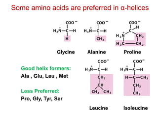 Good helix formers:
Ala , Glu, Leu , Met
Less Preferred:
Pro, Gly, Tyr, Ser
Some amino acids are preferred in α-helices
 