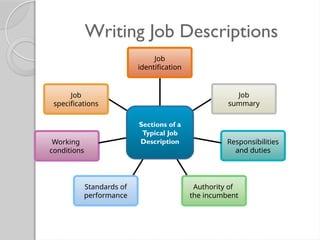 Writing Job Descriptions
Job
identification
Job
summary
Responsibilities
and duties
Authority of
the incumbent
Standards of
performance
Working
conditions
Job
specifications
Sections of a
Typical Job
Description
 