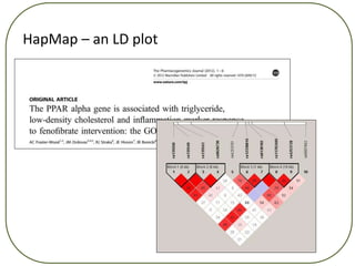 Hapmap Project.pdf Lecture 3 l dand_haplotypes_full | PPTX