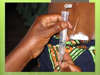 SAMPLE COLLECTION | PPTX