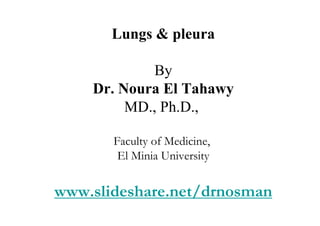 Lungs & pleura

             By
    Dr. Noura El Tahawy
         MD., Ph.D.,

       Faculty of Medicine,
        El Minia University


www.slideshare.net/drnosman
 