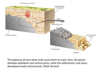 The exposure of once-deep rocks cause them to crack. Here, the pluton
develops exfoliation and vertical joints, while the sedimentary rock layers
developed mostly vertical joints. (W.W. Norton)
 