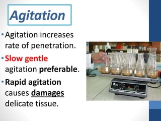 Lecture (3) mechanisms of fixation | PPTX