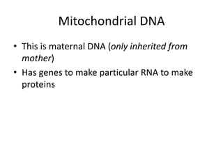 MITOCHONDRIA Is The powerhouse of the cell.pptx
