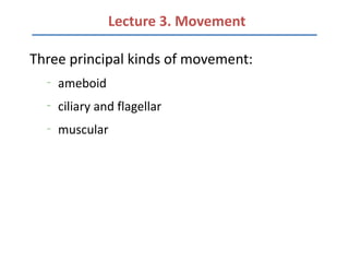Lecture 3. Movement

Three principal kinds of movement:
  –
      ameboid
  –
      ciliary and flagellar
  –
      muscular
 