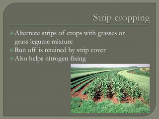 Alternate strips of crops with grasses or
grass legume mixture
Run off is retained by strip cover
Also helps nitrogen fixing
 