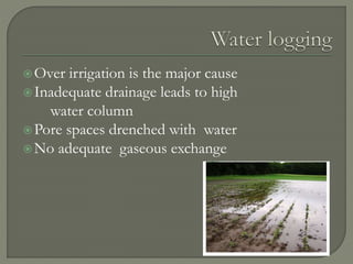 Over irrigation is the major cause
Inadequate drainage leads to high
water column
Pore spaces drenched with water
No adequate gaseous exchange
 