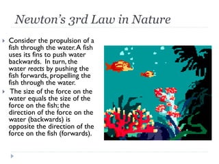 Newton’s 3rd Law in Nature 
Consider the propulsion of a fish through the water. A fish uses its fins to push water backwards. In turn, the water reacts by pushing the fish forwards, propelling the fish through the water. 
 The size of the force on the water equals the size of the force on the fish; the direction of the force on the water (backwards) is opposite the direction of the force on the fish (forwards).  