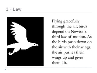 3rd Law 
Flying gracefully through the air, birds depend on Newton’s third law of motion. As the birds push down on the air with their wings, the air pushes their wings up and gives them lift.  
