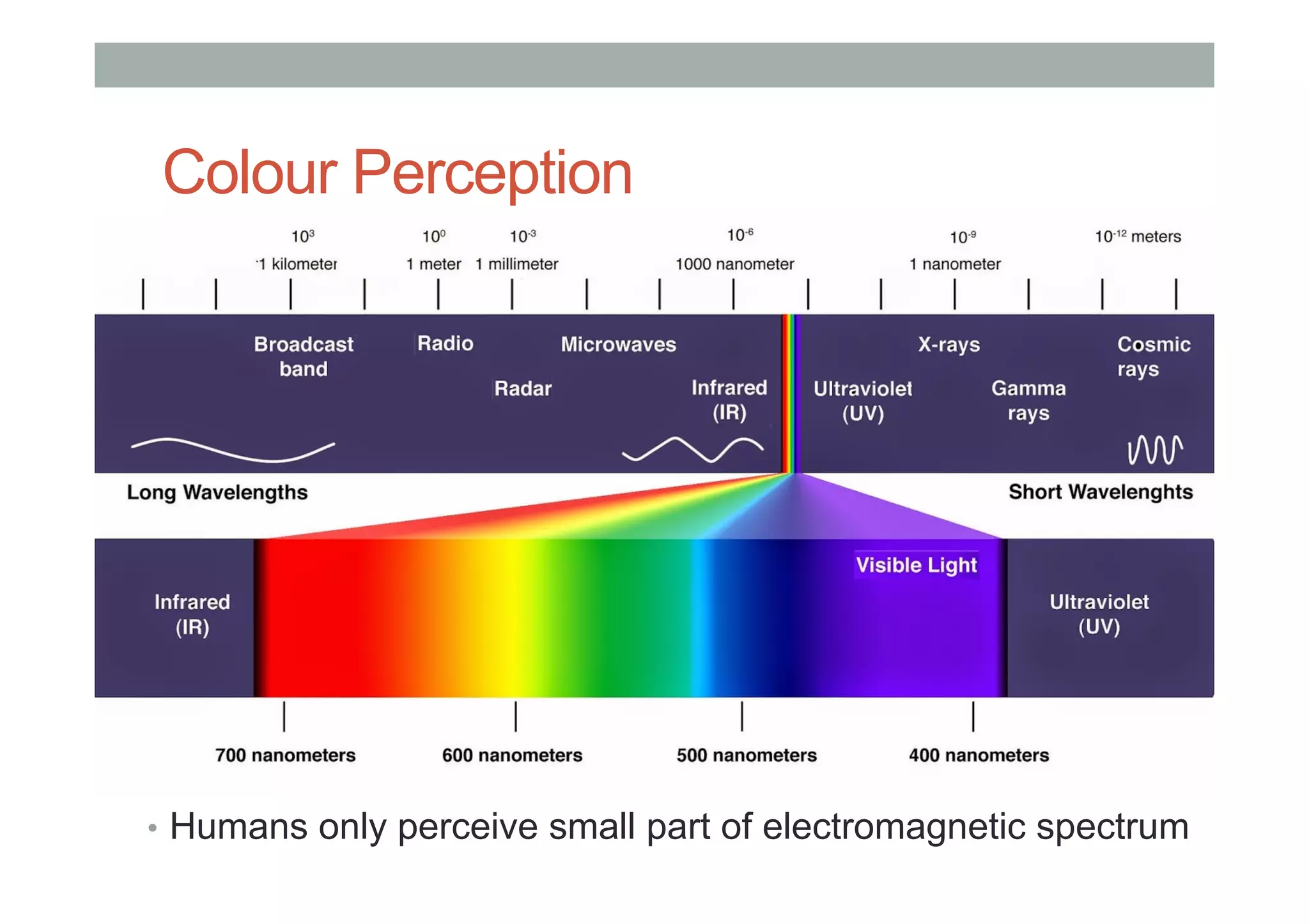 Colour Perception
•  Humans only perceive small part of electromagnetic spectrum
 
