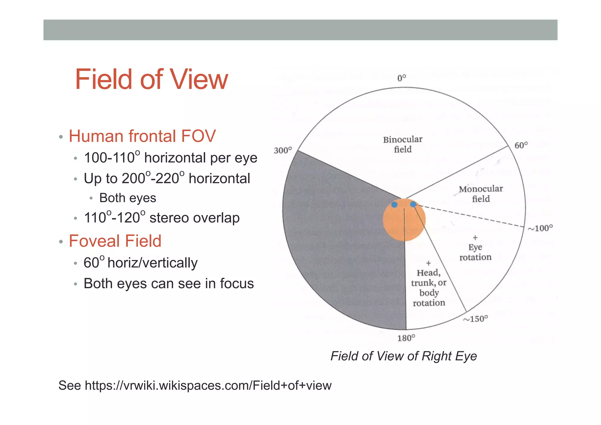 Field of View
See https://vrwiki.wikispaces.com/Field+of+view
•  Human frontal FOV
•  100-110
o
horizontal per eye
•  Up to 200o
-220o
horizontal
•  Both eyes
•  110
o
-120
o
stereo overlap
•  Foveal Field
•  60
o
horiz/vertically
•  Both eyes can see in focus
Field of View of Right Eye
 