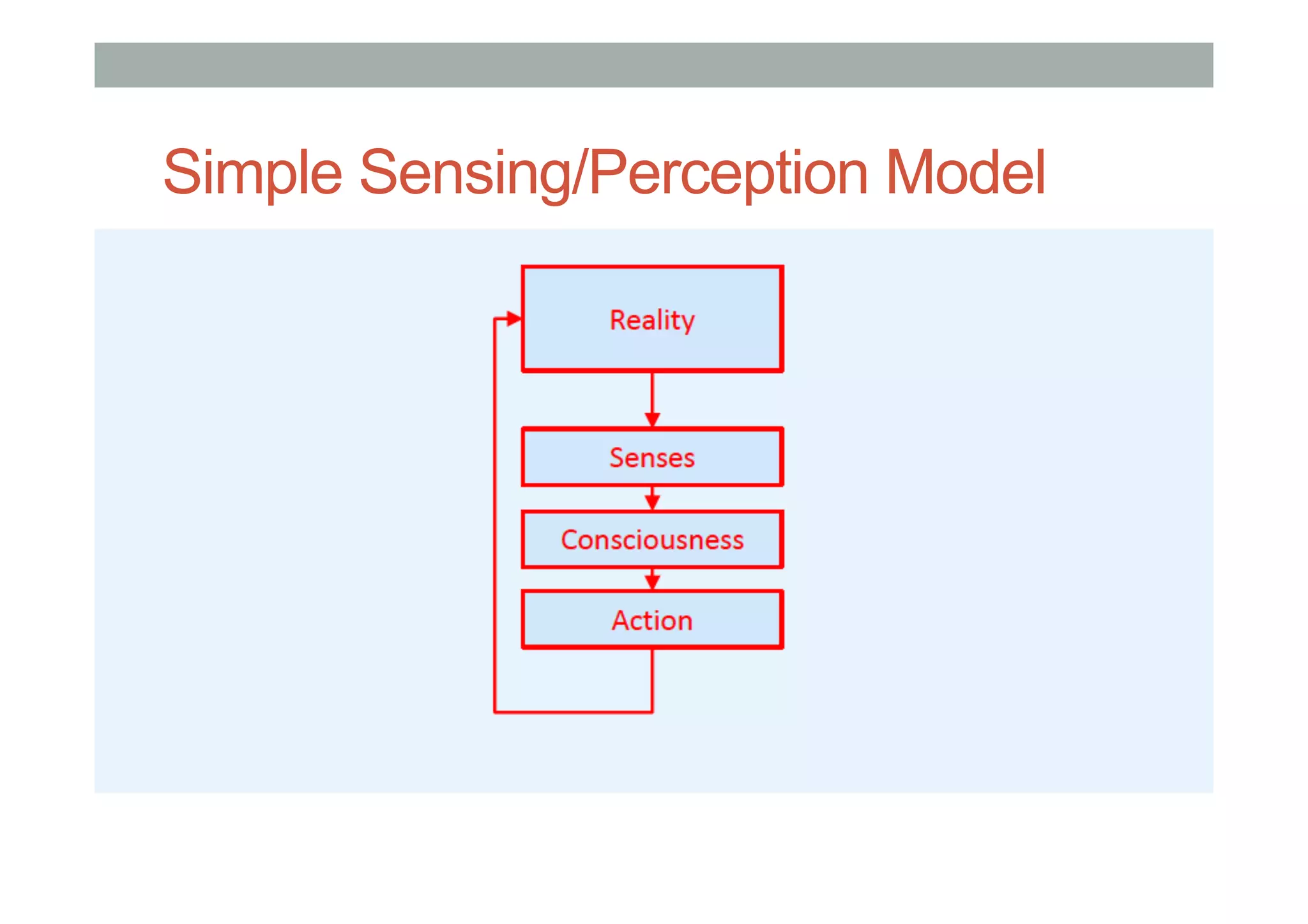 Simple Sensing/Perception Model
 