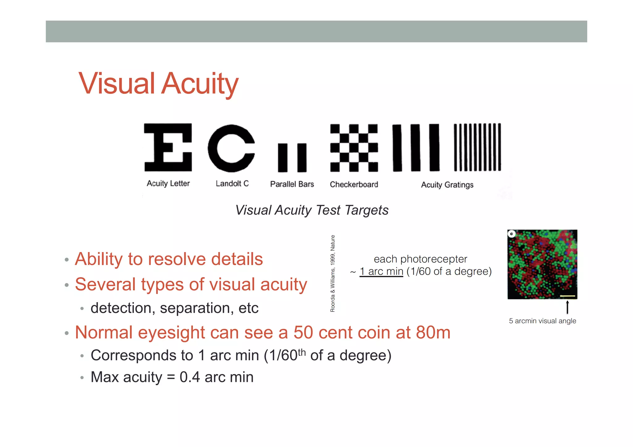 Visual Acuity
Visual Acuity Test Targets
•  Ability to resolve details
•  Several types of visual acuity
•  detection, separation, etc
•  Normal eyesight can see a 50 cent coin at 80m
•  Corresponds to 1 arc min (1/60th of a degree)
•  Max acuity = 0.4 arc min
 
