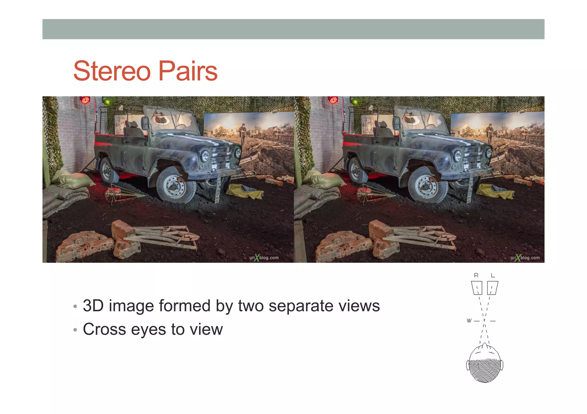 Stereo Pairs
•  3D image formed by two separate views
•  Cross eyes to view
 