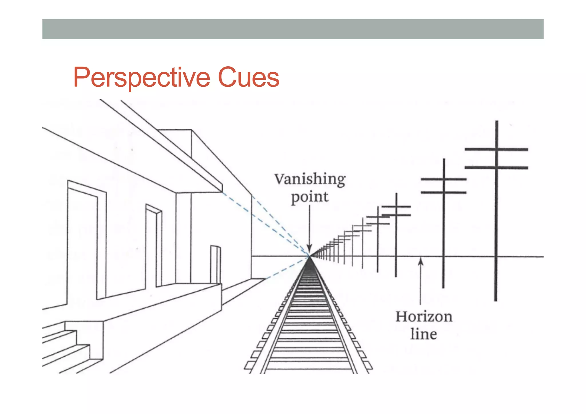 Perspective Cues
•  asdas
 
