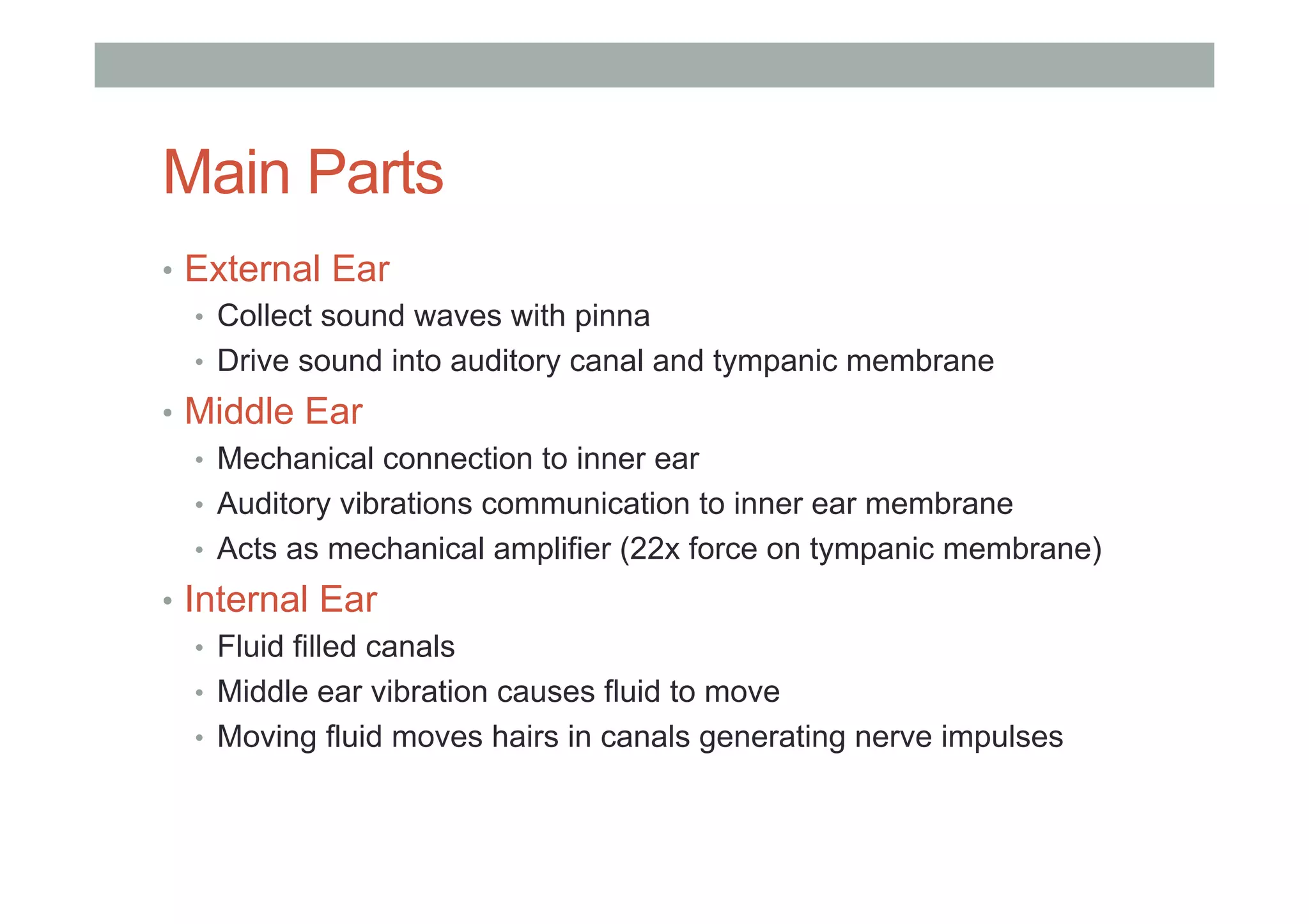 Main Parts
•  External Ear
•  Collect sound waves with pinna
•  Drive sound into auditory canal and tympanic membrane
•  Middle Ear
•  Mechanical connection to inner ear
•  Auditory vibrations communication to inner ear membrane
•  Acts as mechanical amplifier (22x force on tympanic membrane)
•  Internal Ear
•  Fluid filled canals
•  Middle ear vibration causes fluid to move
•  Moving fluid moves hairs in canals generating nerve impulses
 