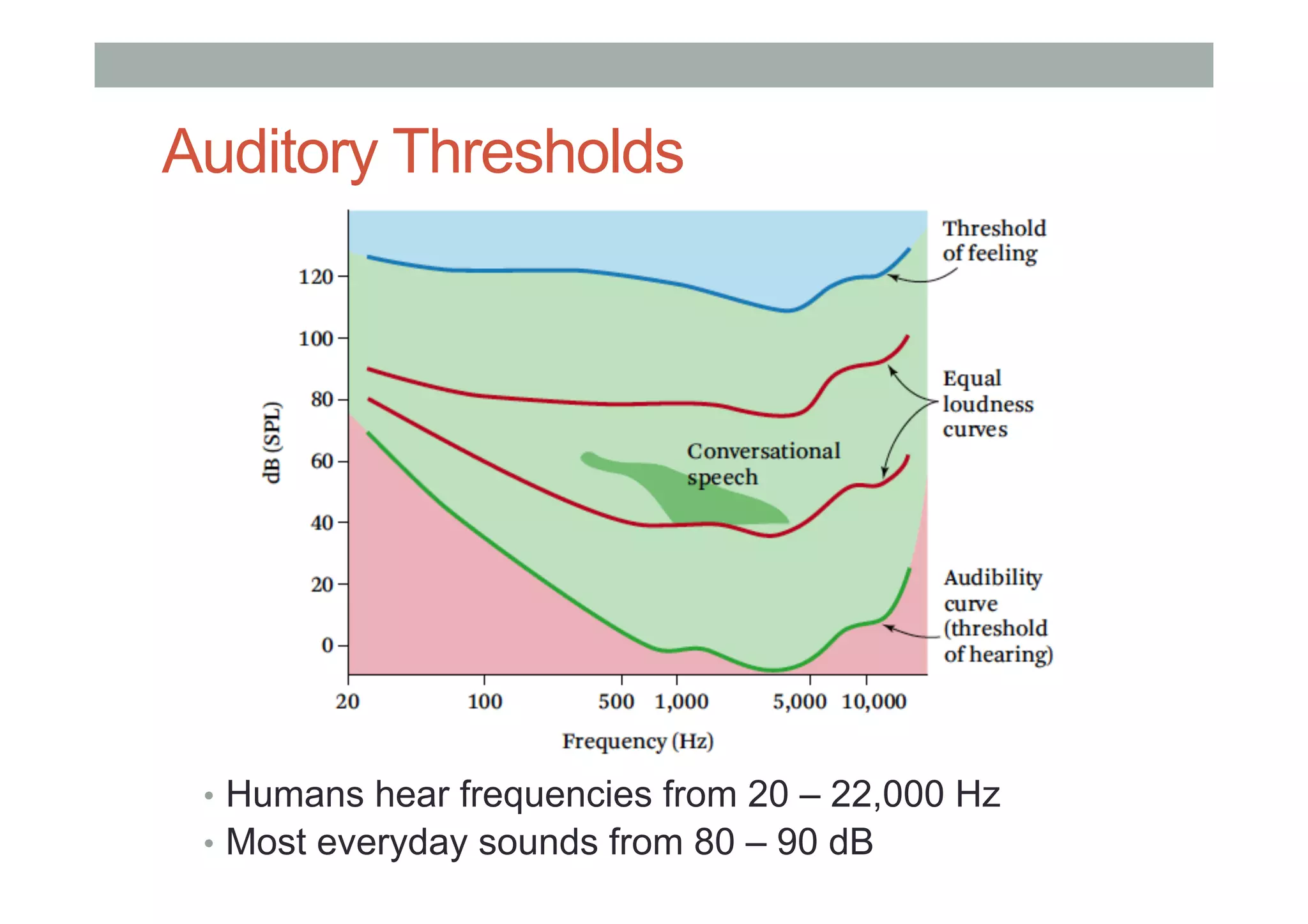 Auditory Thresholds
•  Humans hear frequencies from 20 – 22,000 Hz
•  Most everyday sounds from 80 – 90 dB
 