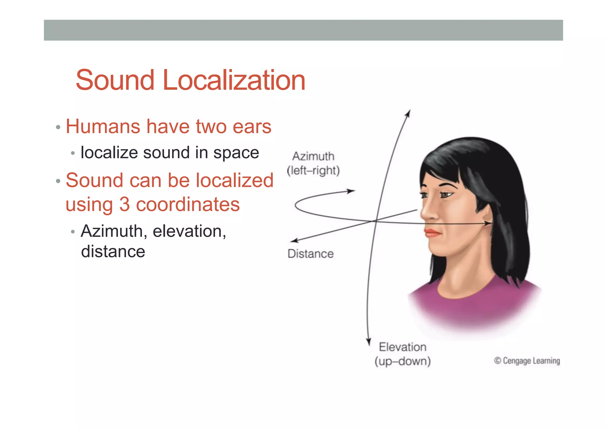 Sound Localization
• Humans have two ears
•  localize sound in space
• Sound can be localized
using 3 coordinates
•  Azimuth, elevation,
distance
 