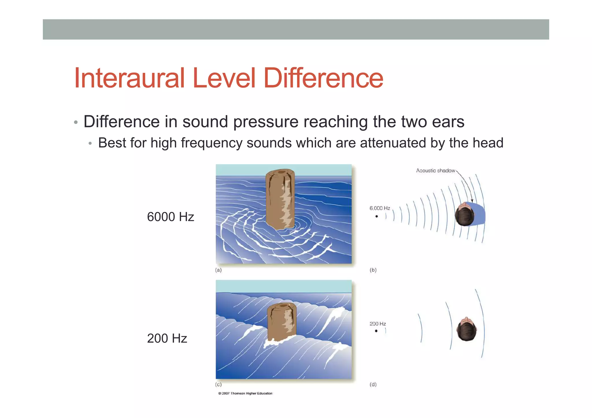 Interaural Level Difference
•  Difference in sound pressure reaching the two ears
•  Best for high frequency sounds which are attenuated by the head
6000 Hz
200 Hz
 