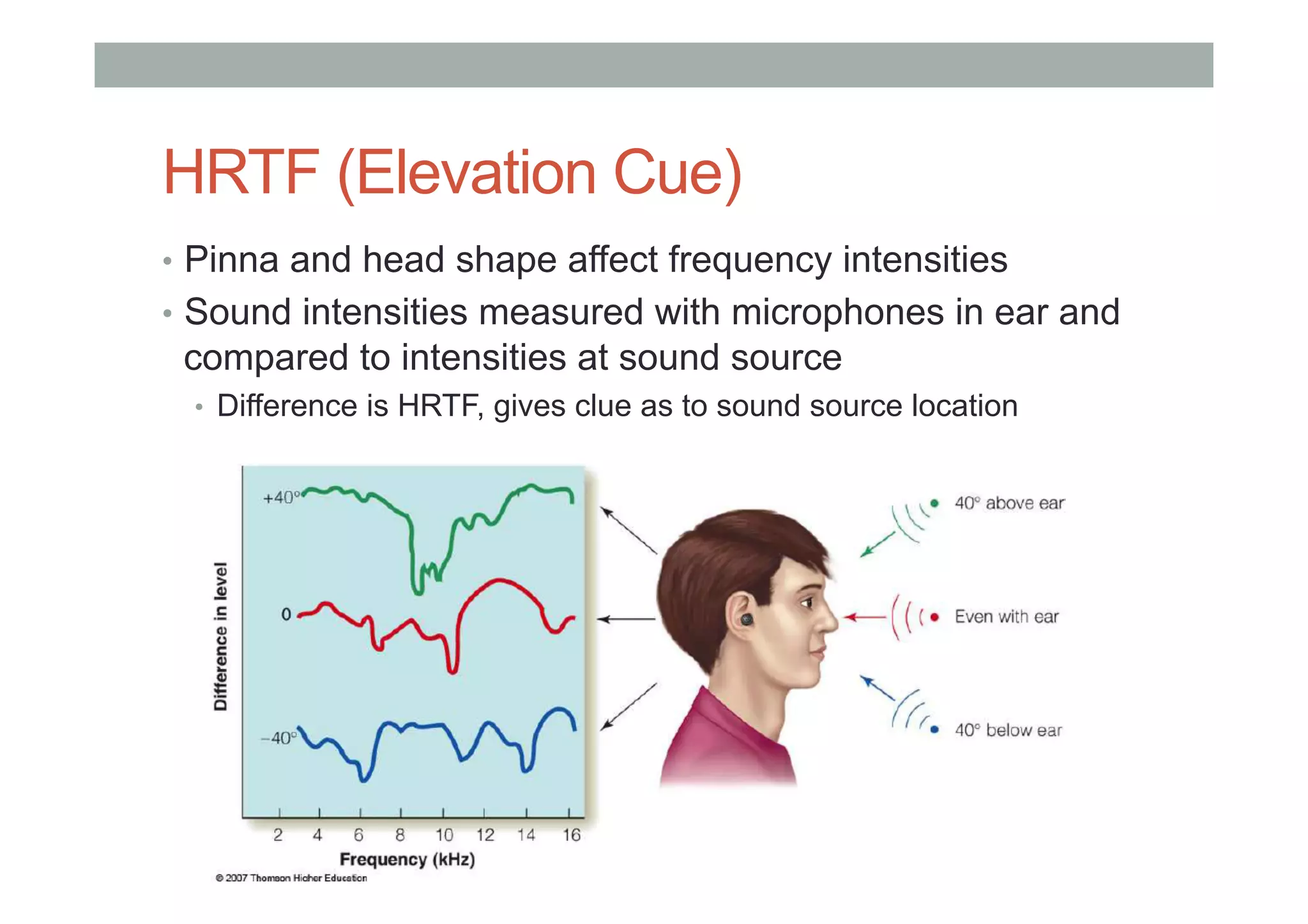 HRTF (Elevation Cue)
•  Pinna and head shape affect frequency intensities
•  Sound intensities measured with microphones in ear and
compared to intensities at sound source
•  Difference is HRTF, gives clue as to sound source location
 