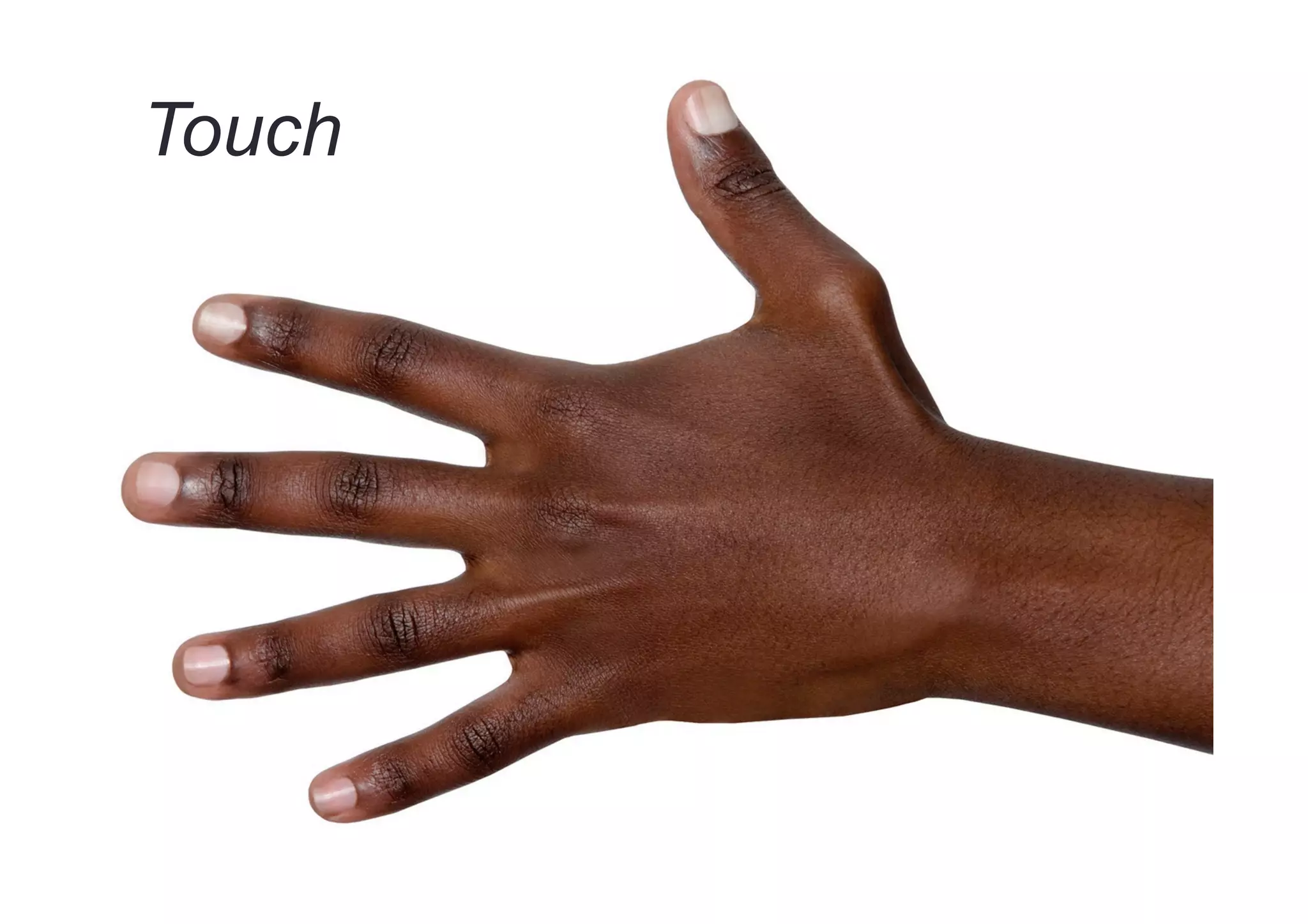 Touch
 