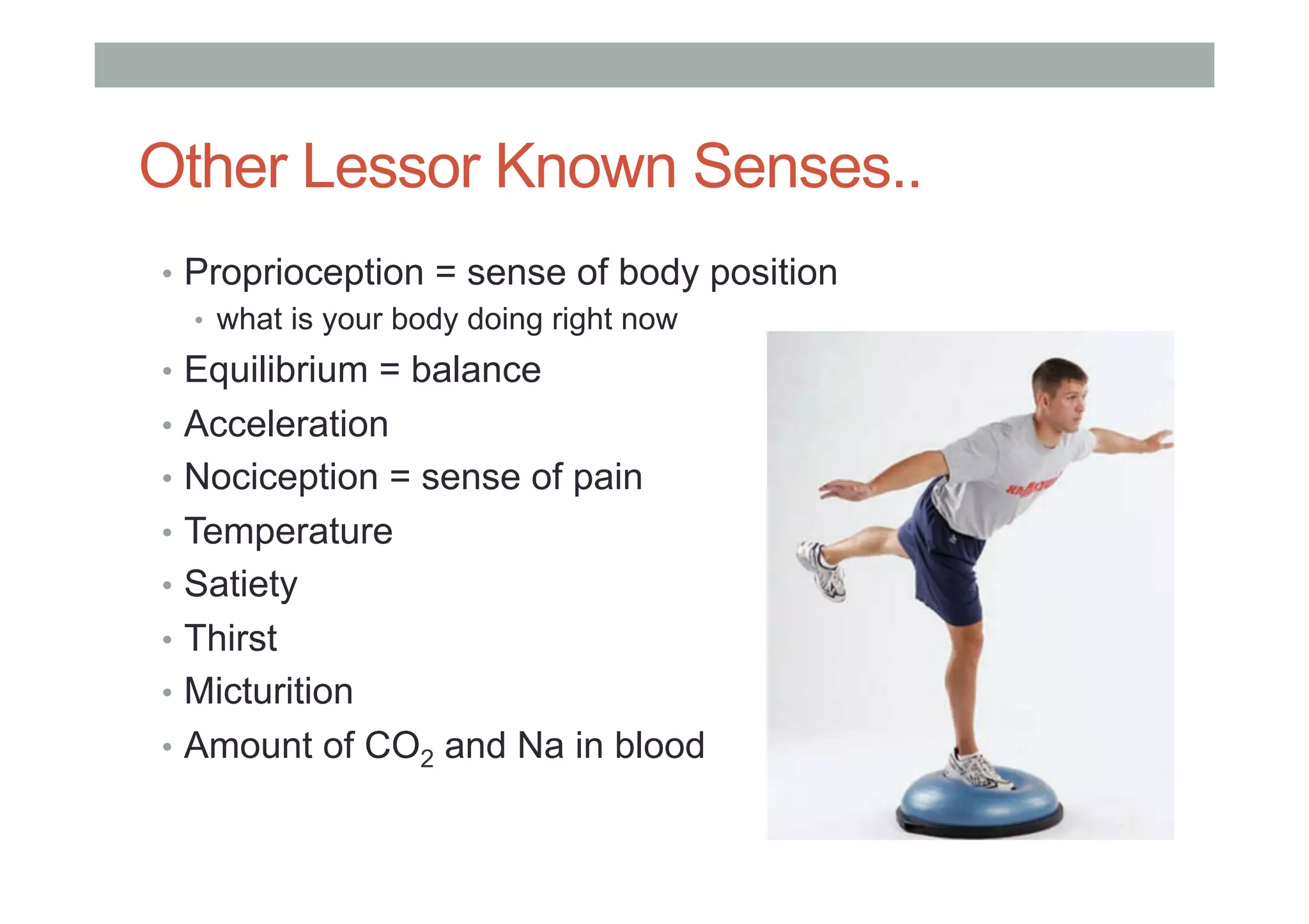 Other Lessor Known Senses..
•  Proprioception = sense of body position
•  what is your body doing right now
•  Equilibrium = balance
•  Acceleration
•  Nociception = sense of pain
•  Temperature
•  Satiety
•  Thirst
•  Micturition
•  Amount of CO2 and Na in blood
 