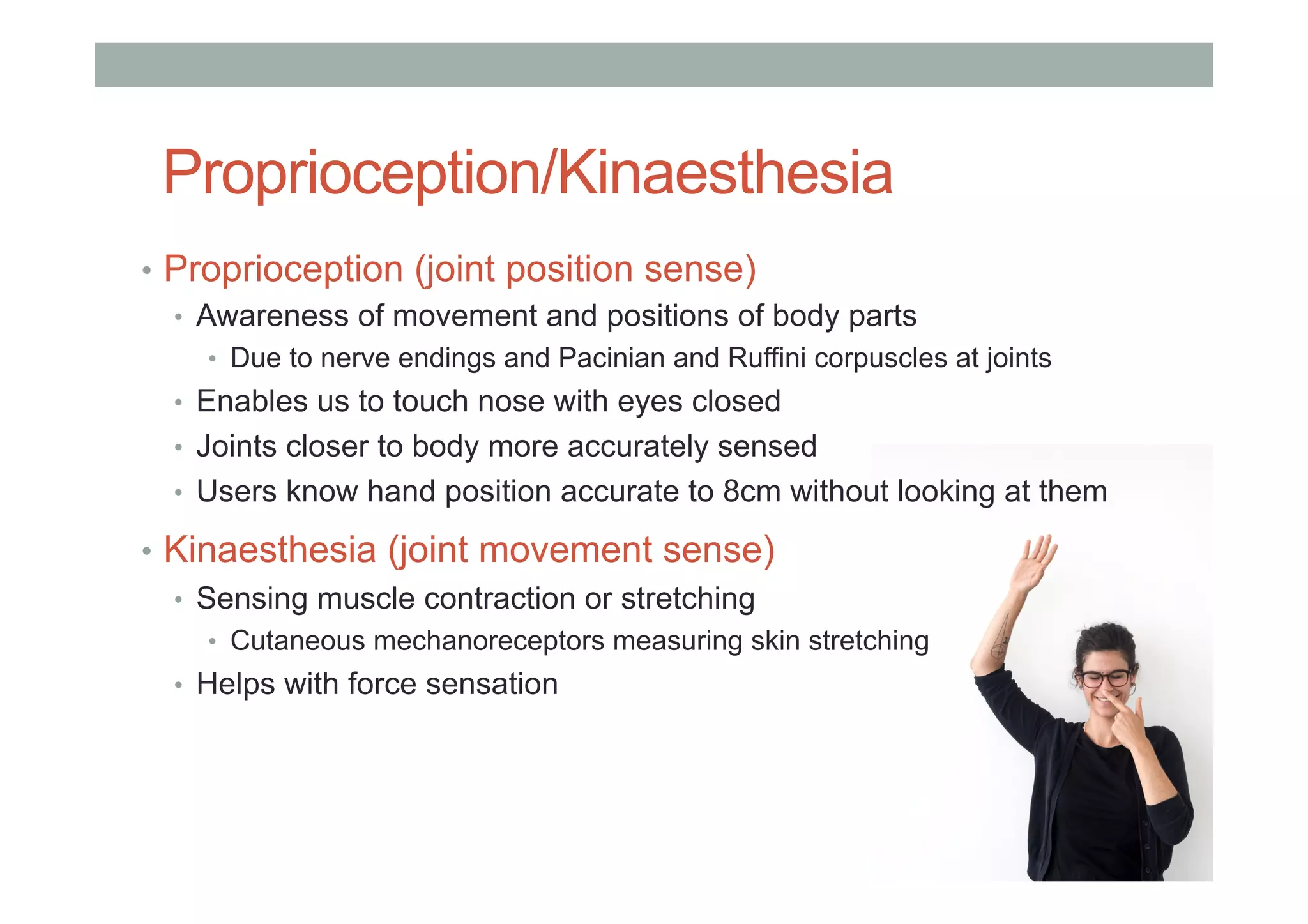 Proprioception/Kinaesthesia
•  Proprioception (joint position sense)
•  Awareness of movement and positions of body parts
•  Due to nerve endings and Pacinian and Ruffini corpuscles at joints
•  Enables us to touch nose with eyes closed
•  Joints closer to body more accurately sensed
•  Users know hand position accurate to 8cm without looking at them
•  Kinaesthesia (joint movement sense)
•  Sensing muscle contraction or stretching
•  Cutaneous mechanoreceptors measuring skin stretching
•  Helps with force sensation
 