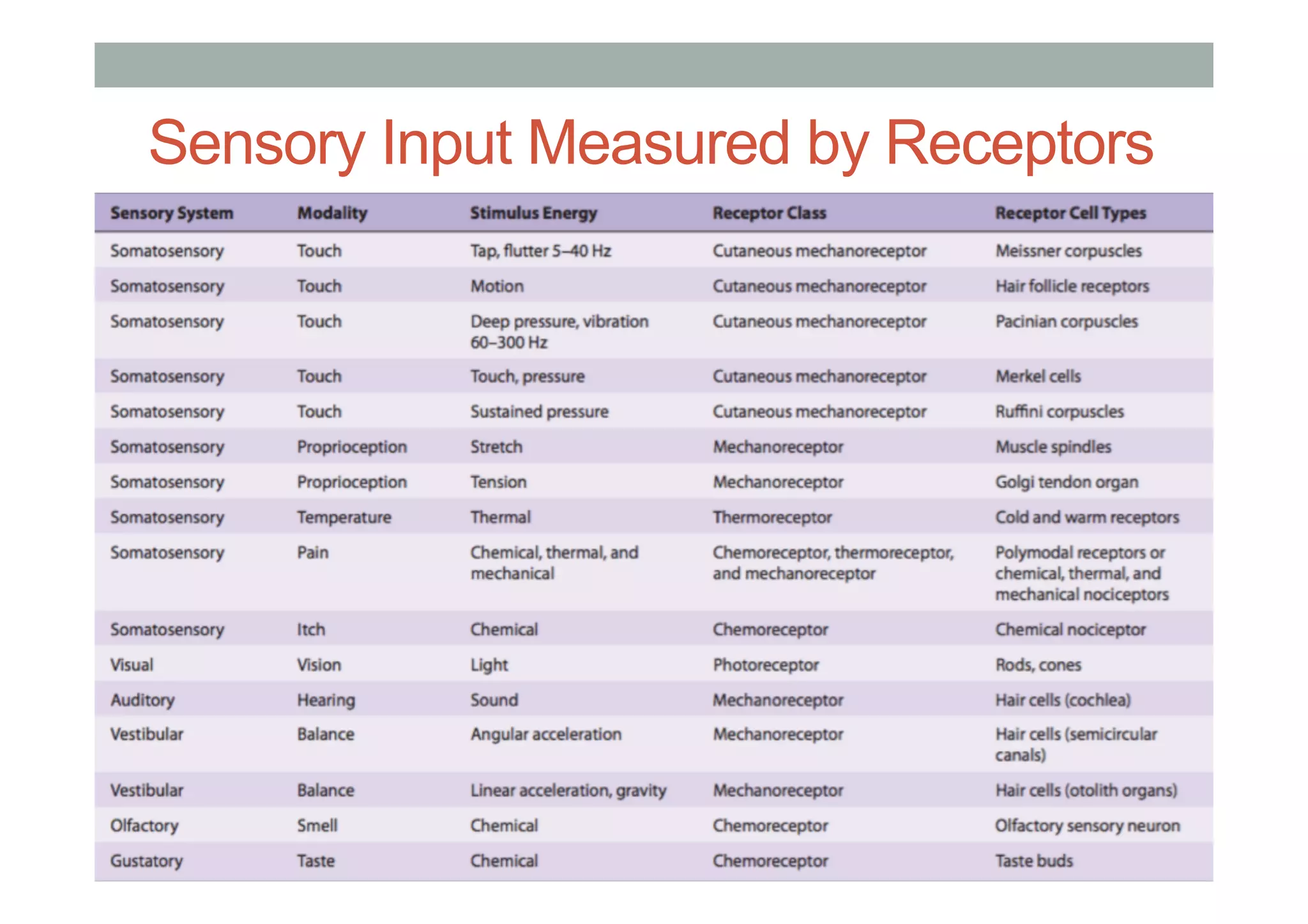 Sensory Input Measured by Receptors
 