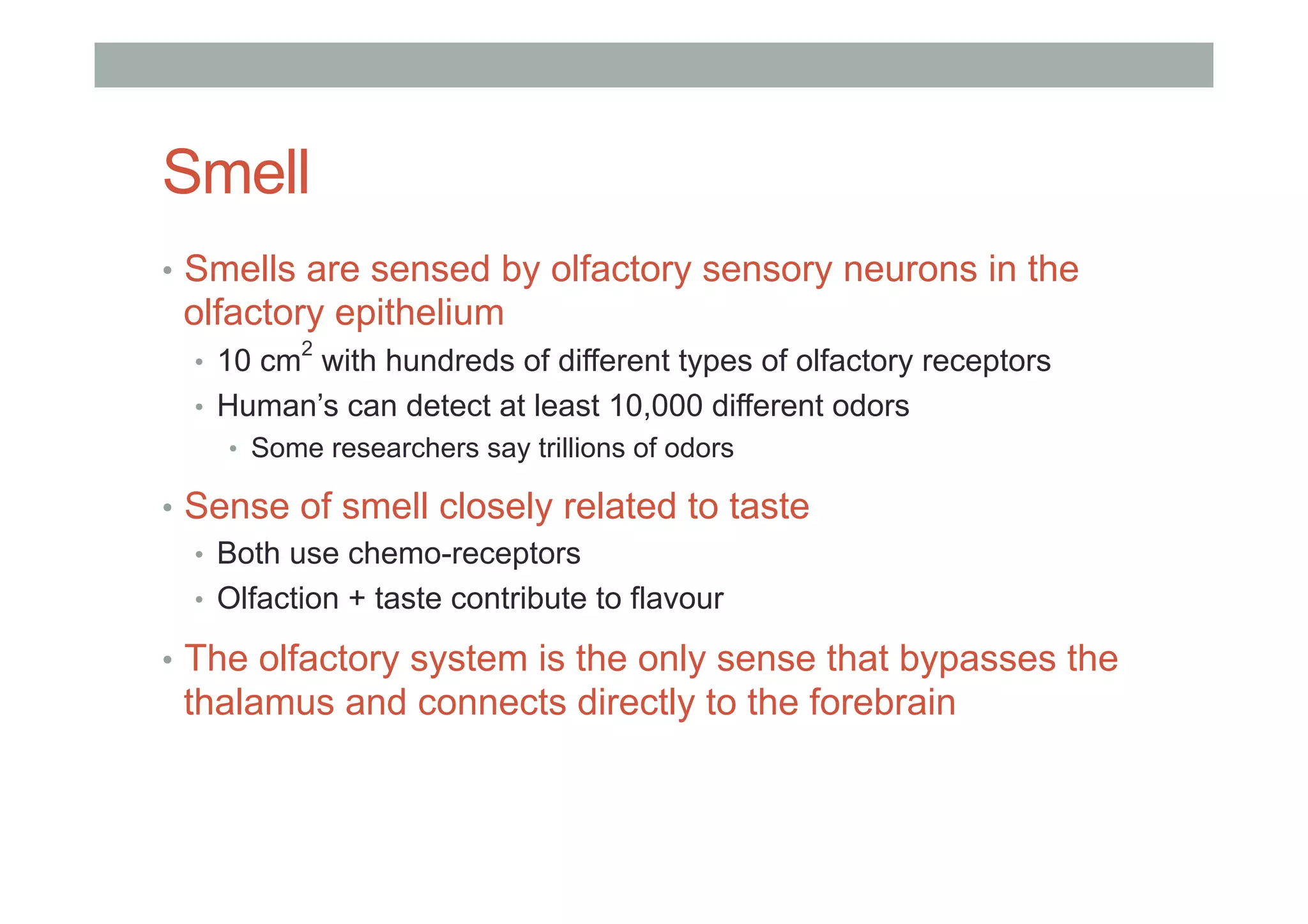 Smell
•  Smells are sensed by olfactory sensory neurons in the
olfactory epithelium
•  10 cm
2
with hundreds of different types of olfactory receptors
•  Human’s can detect at least 10,000 different odors
•  Some researchers say trillions of odors
•  Sense of smell closely related to taste
•  Both use chemo-receptors
•  Olfaction + taste contribute to flavour
•  The olfactory system is the only sense that bypasses the
thalamus and connects directly to the forebrain
 