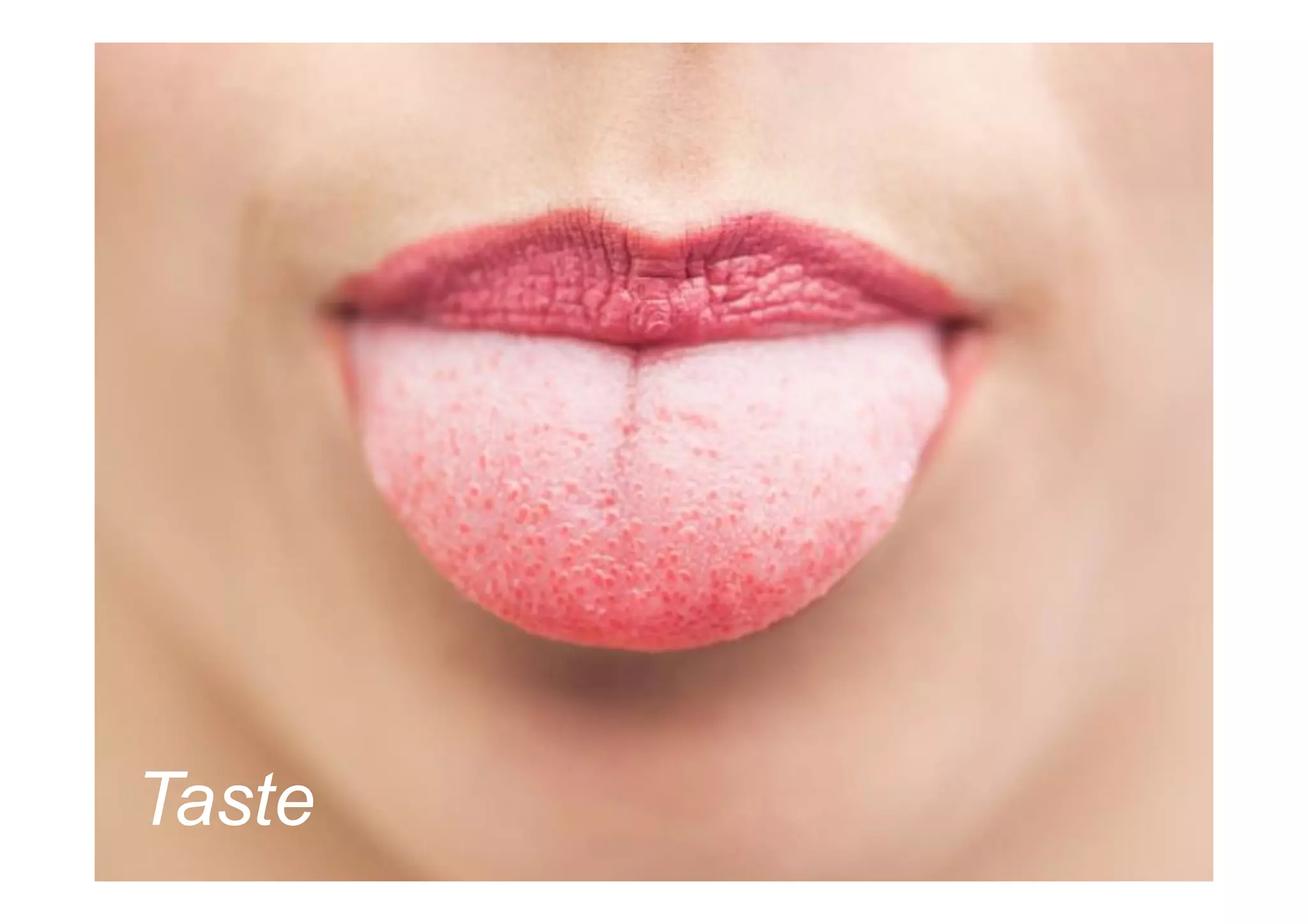 Taste
 