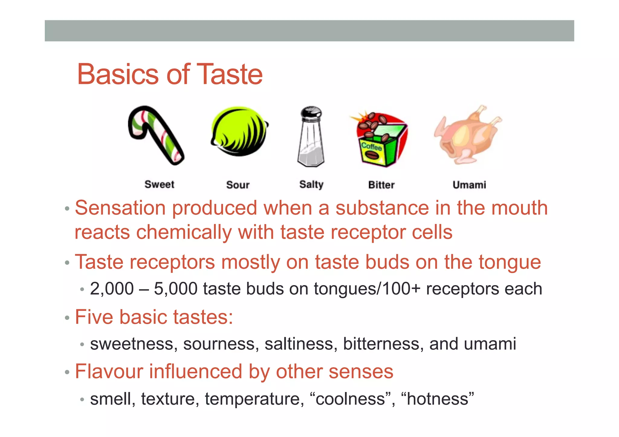 Basics of Taste
• Sensation produced when a substance in the mouth
reacts chemically with taste receptor cells
• Taste receptors mostly on taste buds on the tongue
•  2,000 – 5,000 taste buds on tongues/100+ receptors each
• Five basic tastes:
•  sweetness, sourness, saltiness, bitterness, and umami
• Flavour influenced by other senses
•  smell, texture, temperature, “coolness”, “hotness”
 