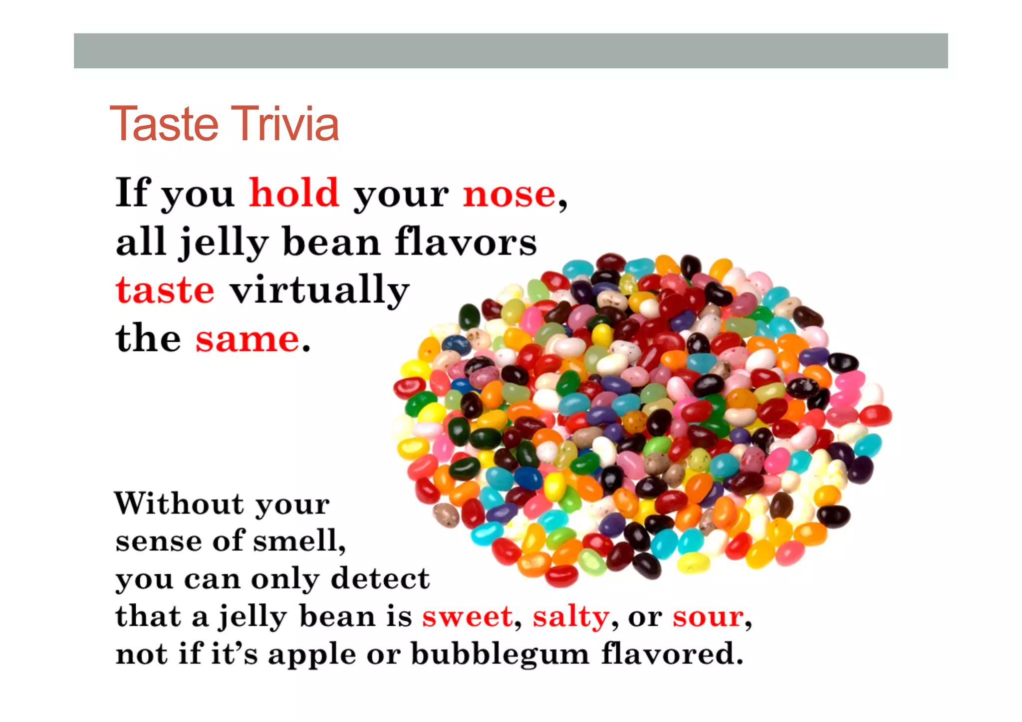 Taste Trivia
 