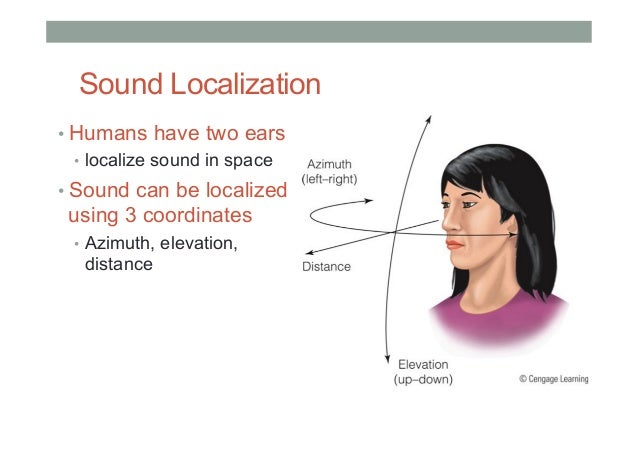 What is the human perception of sound intensity?