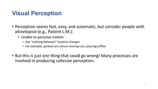 Comprehensive Overview of Visual Perception and Neural Processing | PDF