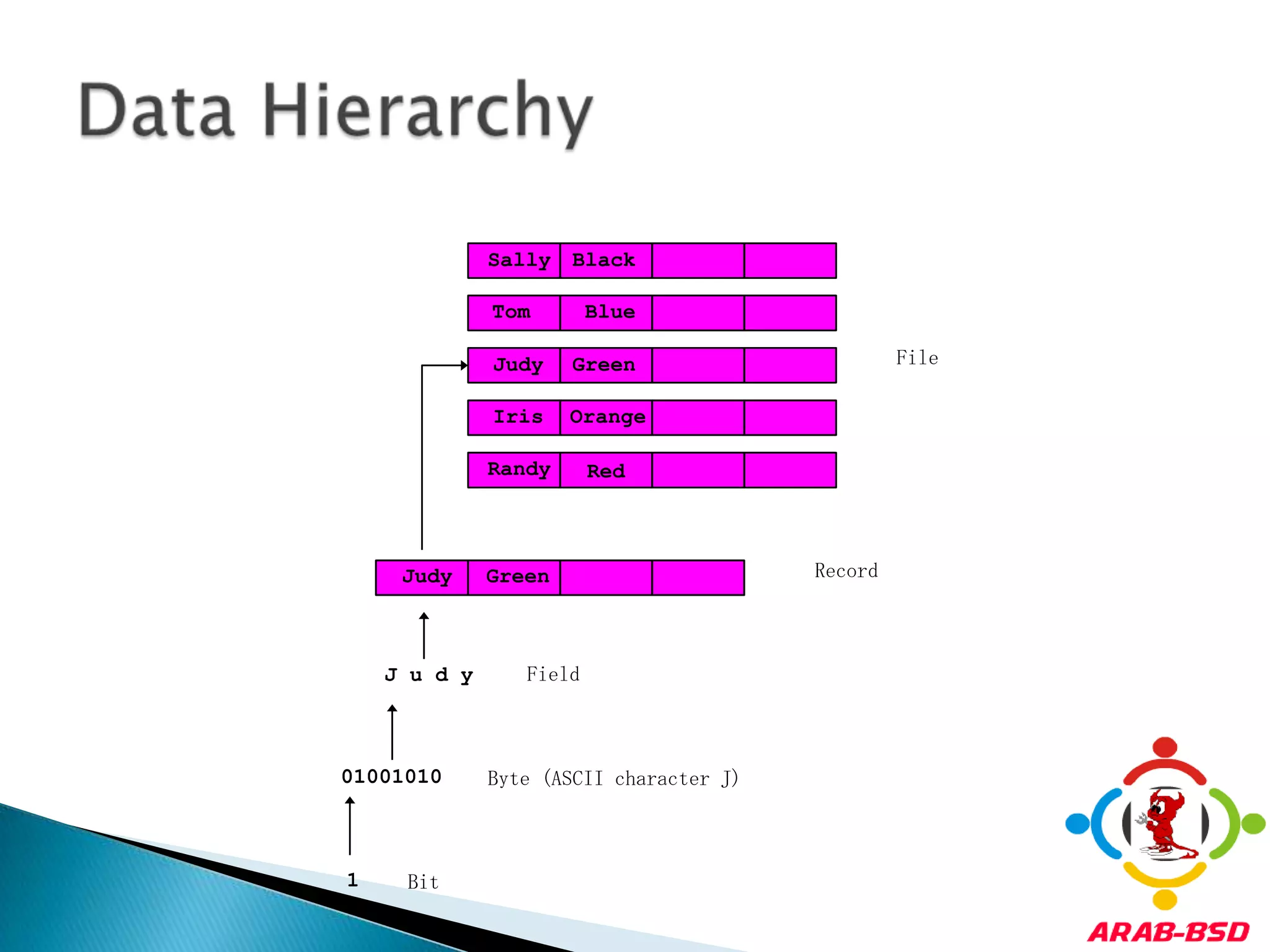 Data HierarchySallyBlackTomBlueFileJudyGreenIrisOrangeRandyRedRecordJudyGreenFieldJ u d yByte (ASCII character J)01001010Bit1