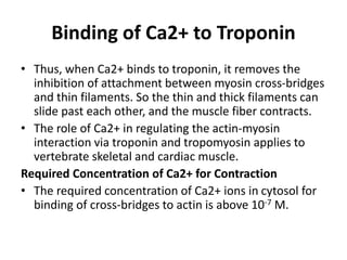 Binding of Ca2+ to Troponin
• Thus, when Ca2+ binds to troponin, it removes the
inhibition of attachment between myosin cross-bridges
and thin filaments. So the thin and thick filaments can
slide past each other, and the muscle fiber contracts.
• The role of Ca2+ in regulating the actin-myosin
interaction via troponin and tropomyosin applies to
vertebrate skeletal and cardiac muscle.
Required Concentration of Ca2+ for Contraction
• The required concentration of Ca2+ ions in cytosol for
binding of cross-bridges to actin is above 10-7 M.
 